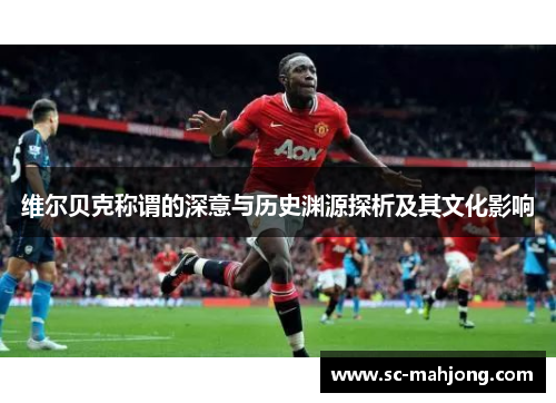 维尔贝克称谓的深意与历史渊源探析及其文化影响 维尔贝克称谓的深意与历史渊源探析及其文化影响