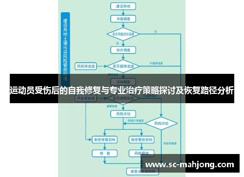 运动员受伤后的自我修复与专业治疗策略探讨及恢复路径分析