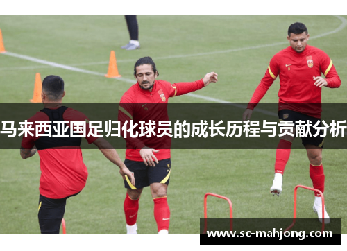 马来西亚国足归化球员的成长历程与贡献分析 马来西亚国足归化球员的成长历程与贡献分析