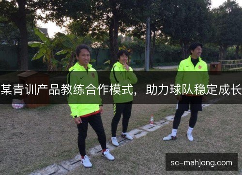 某青训产品教练合作模式，助力球队稳定成长